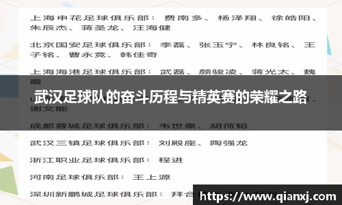 武汉足球队的奋斗历程与精英赛的荣耀之路